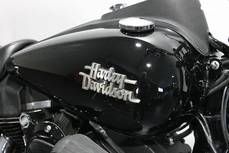 Harley-Davidson FXDB Image 7